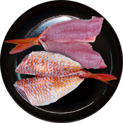 Fresh-tuna